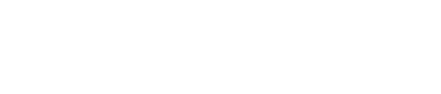 FDOE (Florida Department of Education)- Division of Blind Services Logo